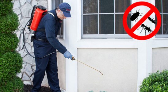 Gölbaşı Böcek ve Haşere İlaçlama böcek ilaçlama ve haşere kontrolü — ilaclama-tr.com